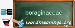 WordMeaning blackboard for boraginaceae